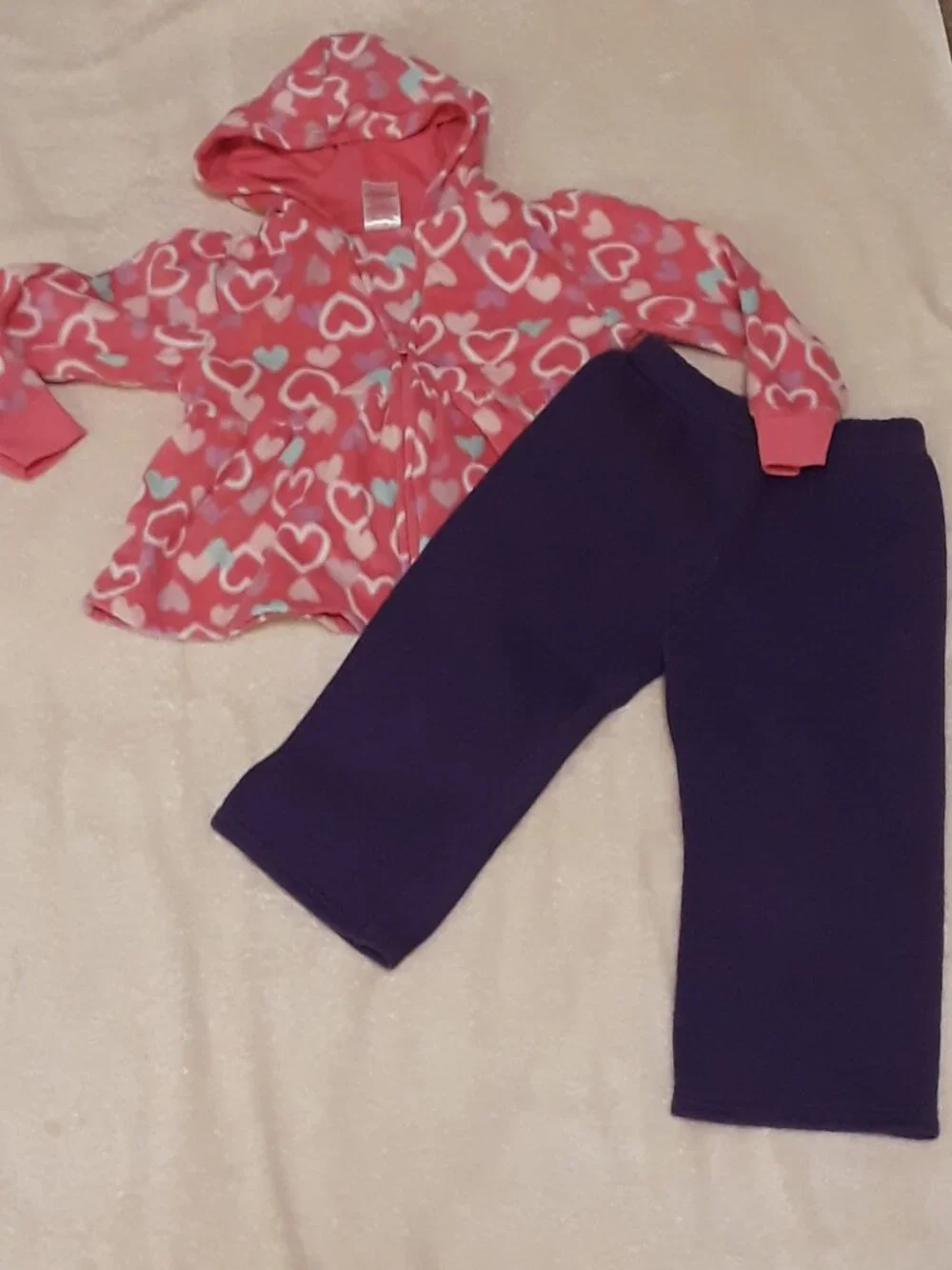 2 Piece Set Garanimals Girl 24 Mos Pink Heart Hooded Zip Jacket + Purple Pants
